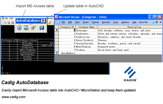 AutoCAD Access Screenshot